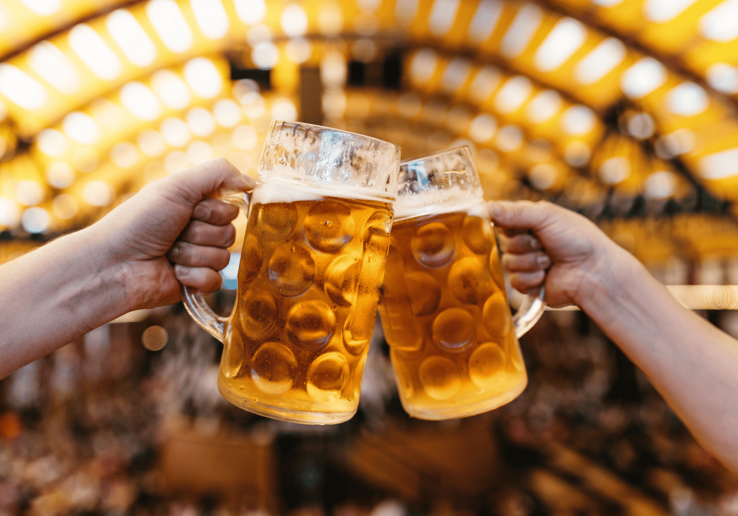 Two people clink large beer mugs in a warmly lit bar to toast.